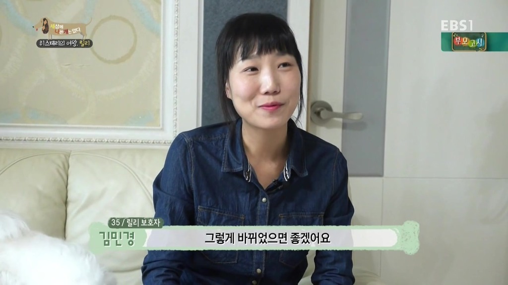 [세상에나쁜개는없다] 가족들에게 짖고 무는 강아지 릴리햏 | 인스티즈