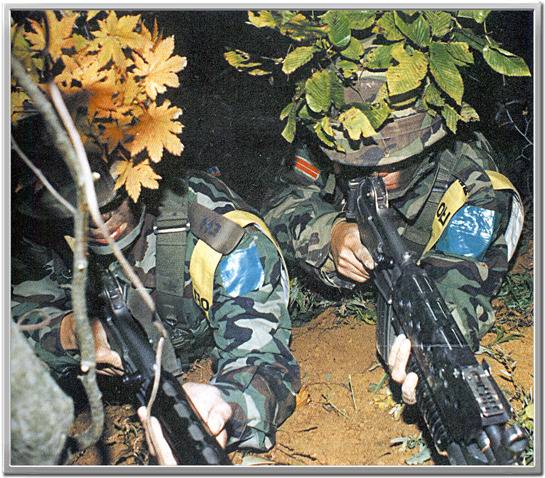 1996년 강릉무장공비사건 특전사작전수기 . jpg | 인스티즈