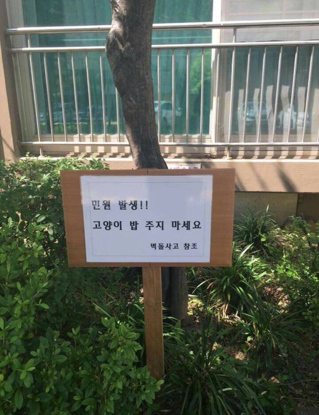 길고양이 밥주지 마세요~^^ | 인스티즈