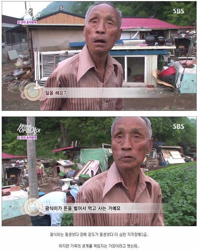 세상에 이런일이 - 길 위에 효자형제 (사이다형제) | 인스티즈