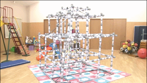 성진국의 흔한 정글짐 | 인스티즈