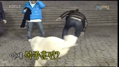 지상렬 상근이 개레전드 | 인스티즈