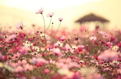 [인생에대한글귀들] 때론 이렇게 사는것은 느린자살과 별반 다를게 없다는 느낌이 들곤 한다 | 인스티즈