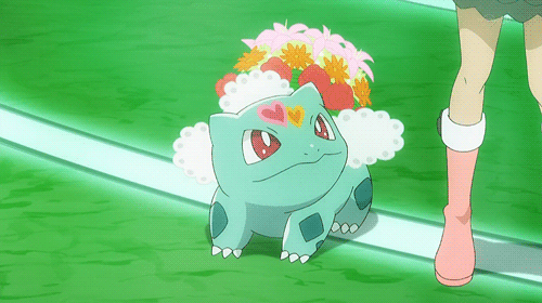 포켓몬스터) 넘나 귀여운 이상해씨 짤모음 | 인스티즈