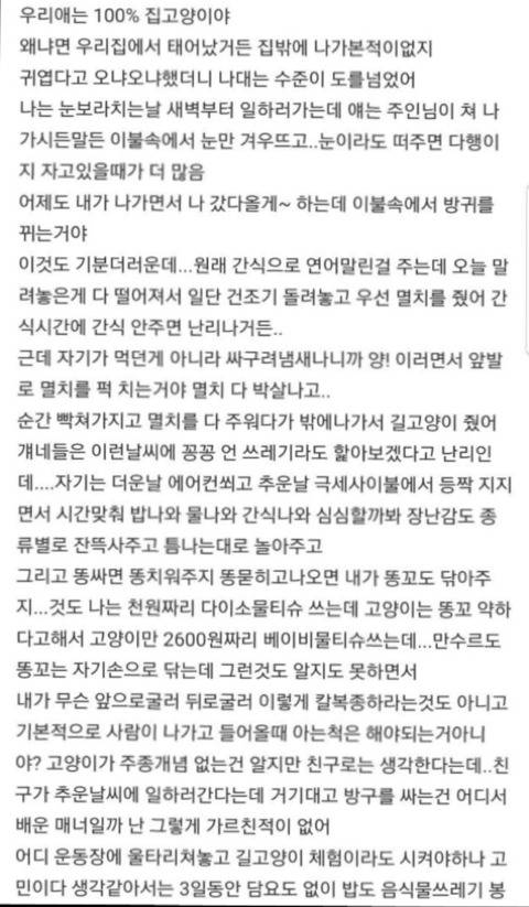 고양이 집사의 분노 ㅋㅋㅋㅋㅋㅋㅋ | 인스티즈