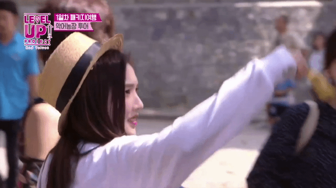 코끼리에게 먹이 주는 레드벨벳 배쫄보.gif | 인스티즈