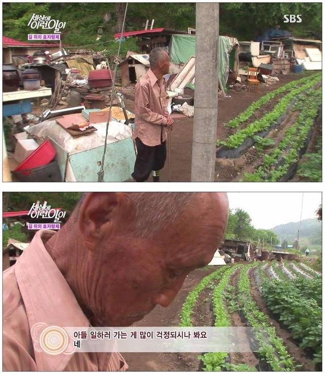 세상에 이런일이 - 길 위에 효자형제 (사이다형제) | 인스티즈