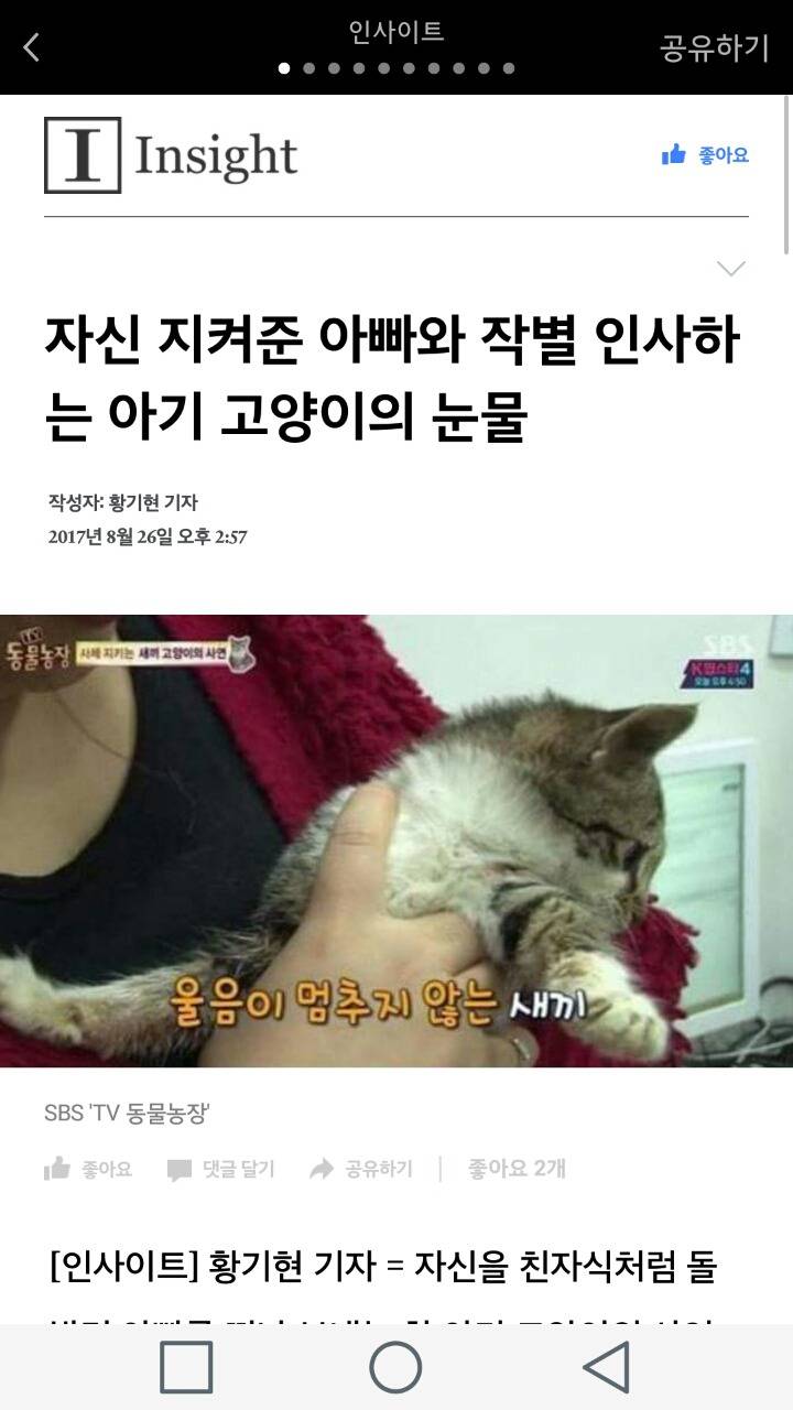 자신 지켜준 아빠와 작별 인사하는 아기 고양이의 눈물 | 인스티즈