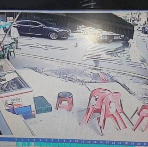 길고양이를 발로 차버리는 남자들 .gif (주의) | 인스티즈