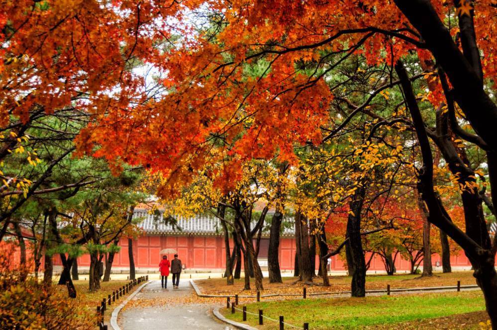 외국인이 촬영한 한국 풍경.jpg | 인스티즈