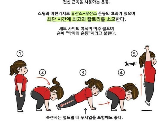 식이 대충해도 이것만 꾸준히하면 살빠진다는 두가지 운동.jpg | 인스티즈