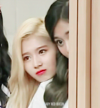 끼리끼리 친한듯한 여자친구 은하와 트와이스 사나.gif | 인스티즈