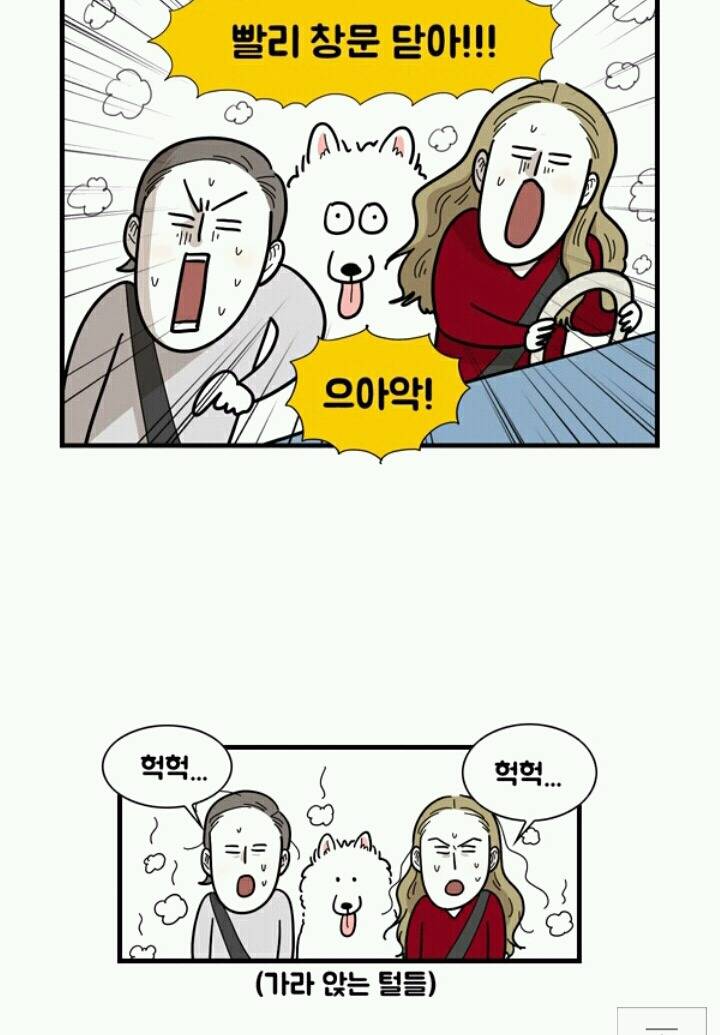 사람들이 극한견주봐도 잘 모르는 사실 | 인스티즈