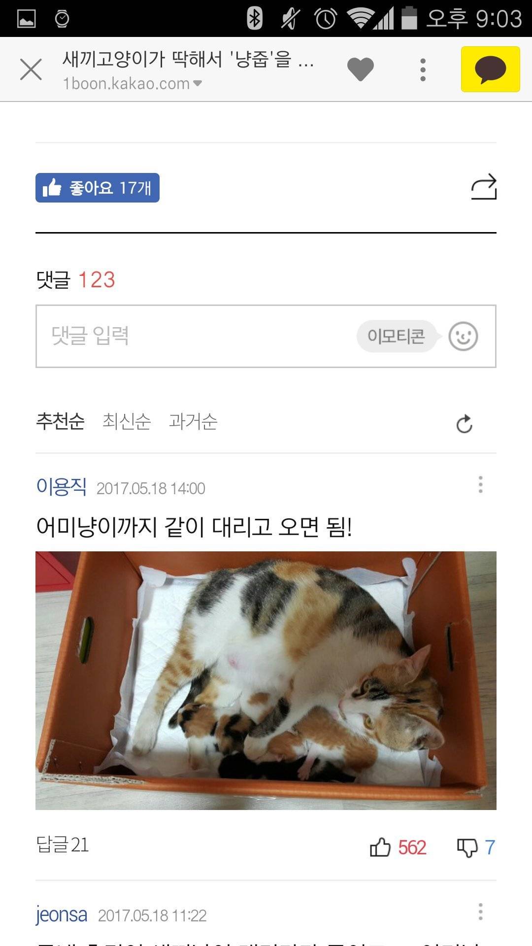 새끼 길고양이 데려올때 꿀팁.jpg | 인스티즈