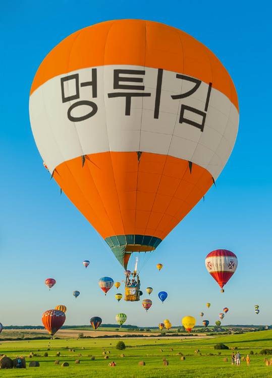 안경 사나 | 인스티즈