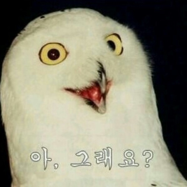 유용한 짤 | 인스티즈