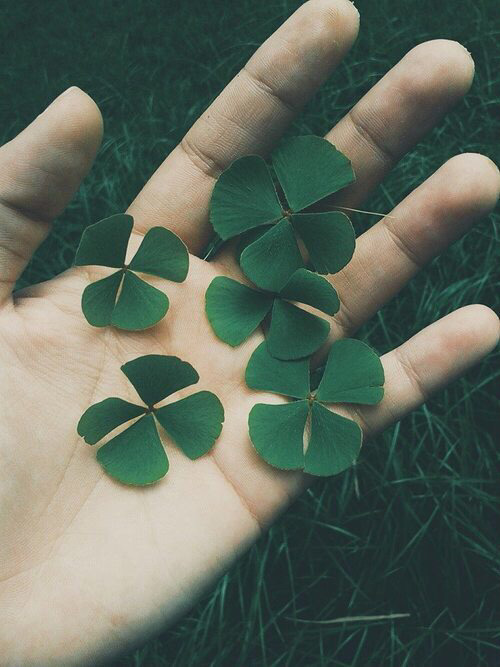 최애에게 보내는 메세지 | 인스티즈