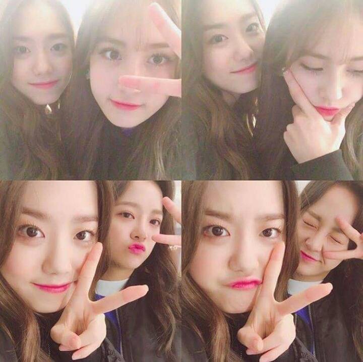 우리혜 소미 세정이 | 인스티즈