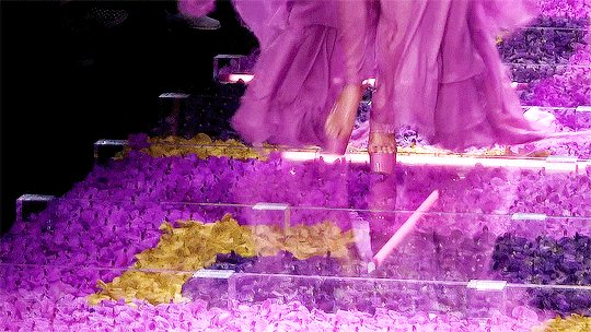 보는 것만으로도 짜릿한 쾌감을 느끼게 하는 슈퍼모델 칼리 클로스의 캣워크.gif | 인스티즈