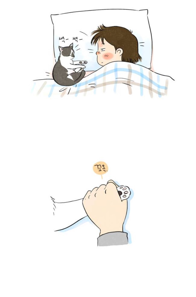 다음웹툰 뽀짜툰 짜구가 하늘나라로 떠났습니다 | 인스티즈