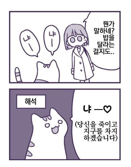 고양이 만화.jpg | 인스티즈
