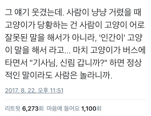 사람이 야옹거리면 고양이가 당황하는 이유 | 인스티즈