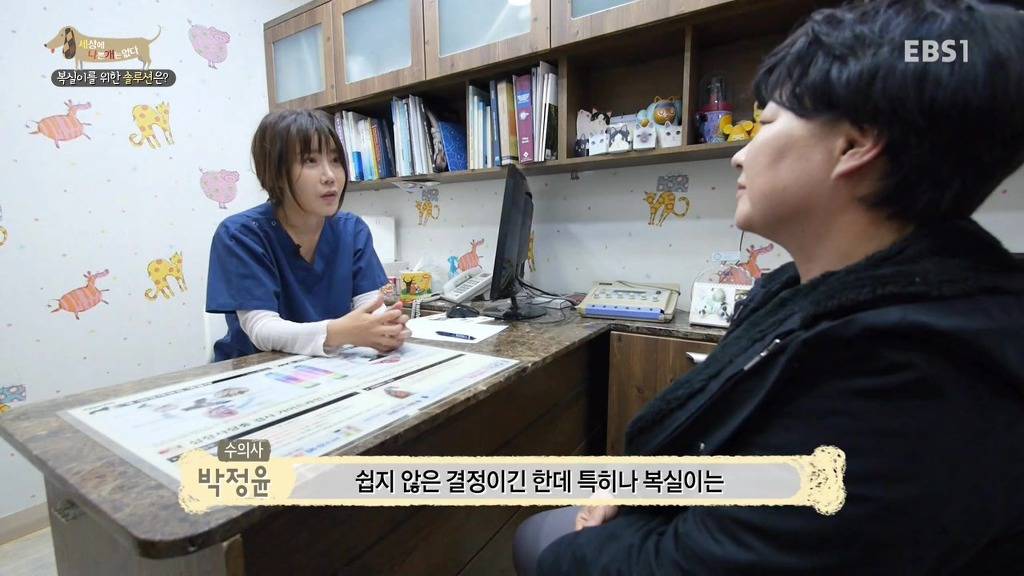 개 키울때 중성화 수술을 해줘야하는 이유 (feat.세나개) | 인스티즈