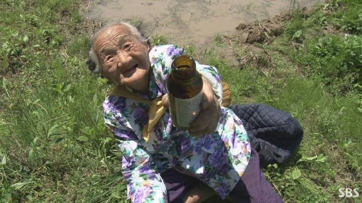 박카스를 하루에 열일곱병 드시는 할머니.jpg | 인스티즈