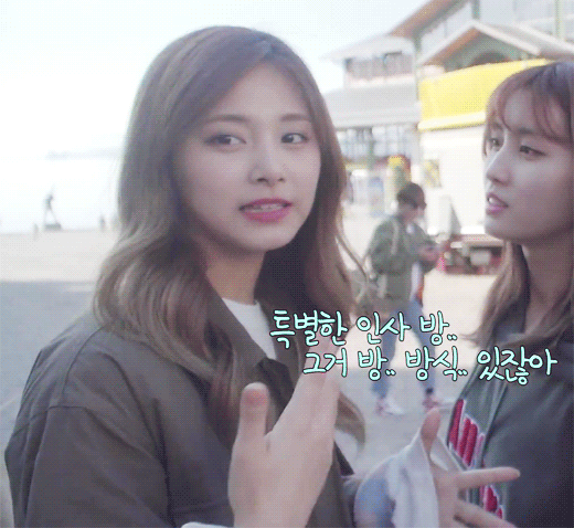 모모의 뽀뽀를 필사적으로 피하는 중.gif | 인스티즈