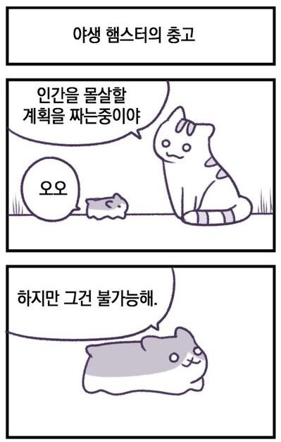 고양이 만화.jpg | 인스티즈