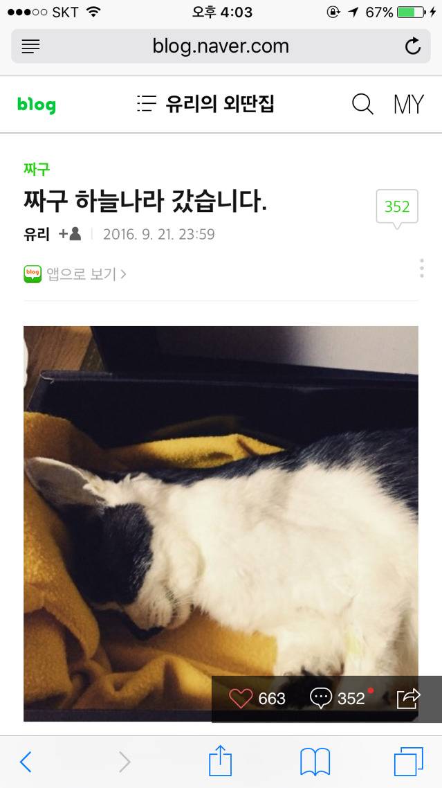 다음웹툰 뽀짜툰 짜구가 하늘나라로 떠났습니다 | 인스티즈