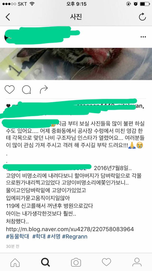 길고양이를 발로 차버리는 남자들 .gif (주의) | 인스티즈