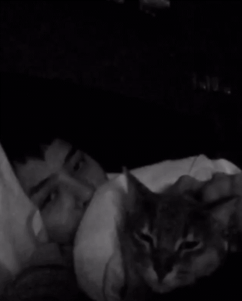 지디가 모시는 고양이 아이 (IYE) | 인스티즈