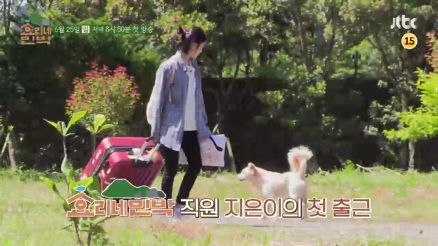 이상순이효리 ＜효리네민박＞의 알바생으로 온 아이유 | 인스티즈