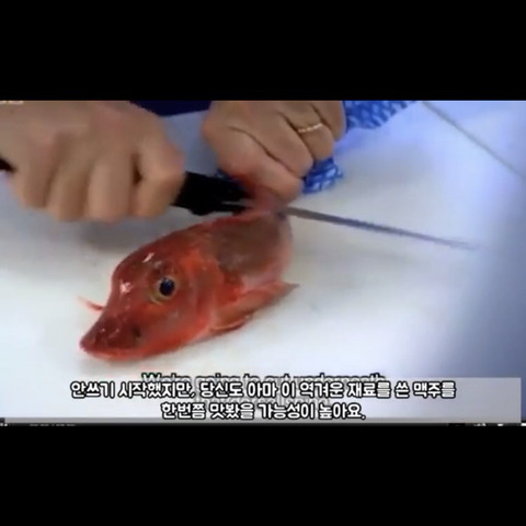 어떻게 만들었는지 알고 나면 절대로 사지 않을 물건들 | 인스티즈