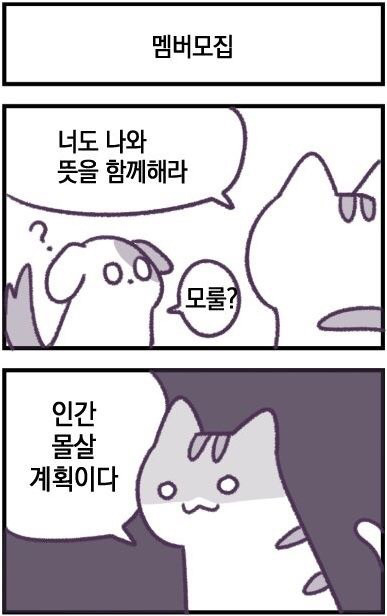 고양이 만화.jpg | 인스티즈