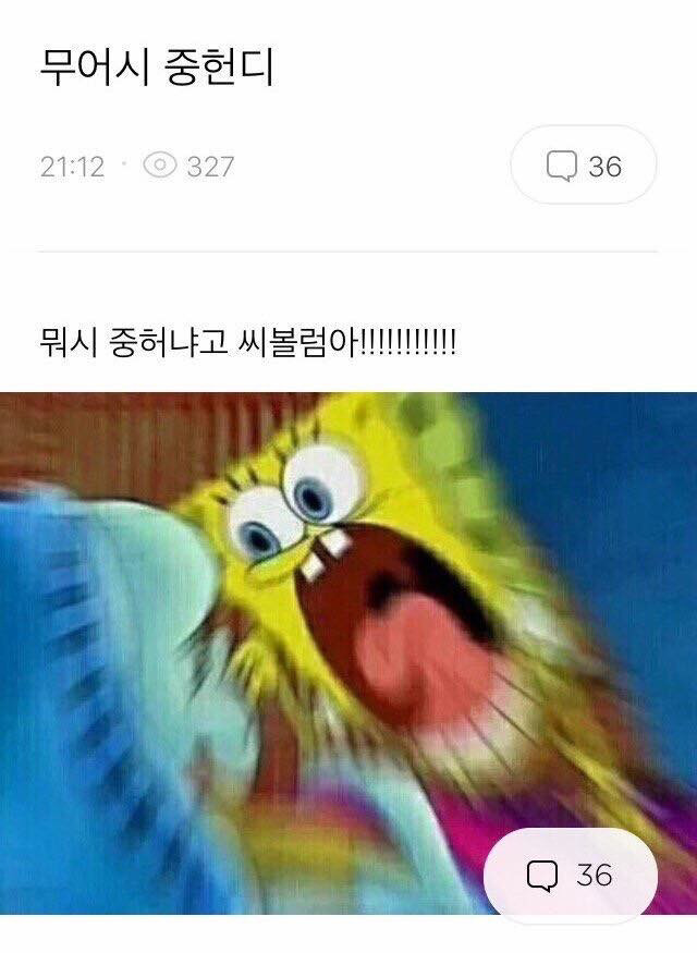 곡성 본사람만 아는거 | 인스티즈