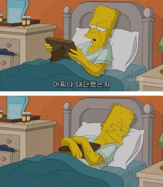 심슨에서 말하는 인생이란 | 인스티즈