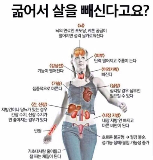 굶어서 살빼면 안되는 이유 | 인스티즈