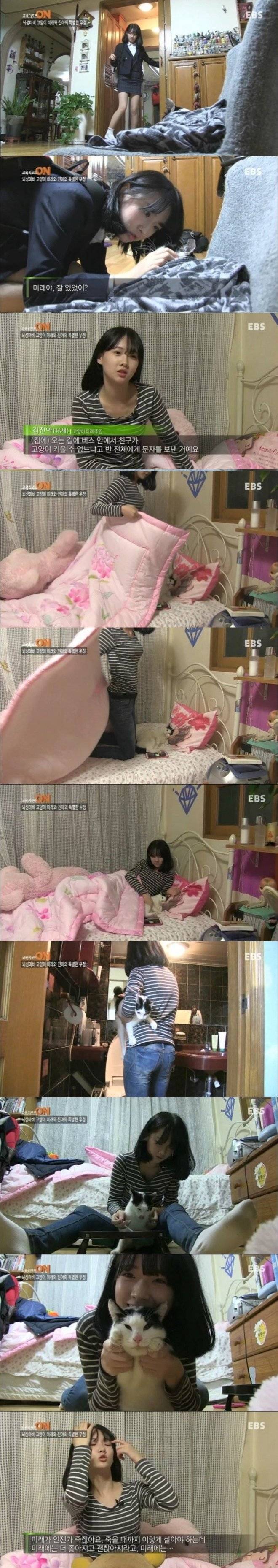 고양이보다 더 화제가 됐던 집사 | 인스티즈