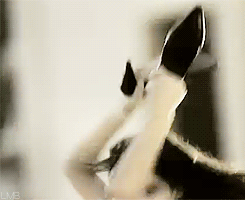 [모니카벨루치] 여신들중에 상여신 헤라에 해당되는 이탈리아 인간 문화재 | 인스티즈