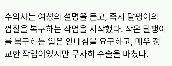 자신이 밟은 달팽이를 병원에 데려간 여성 | 인스티즈