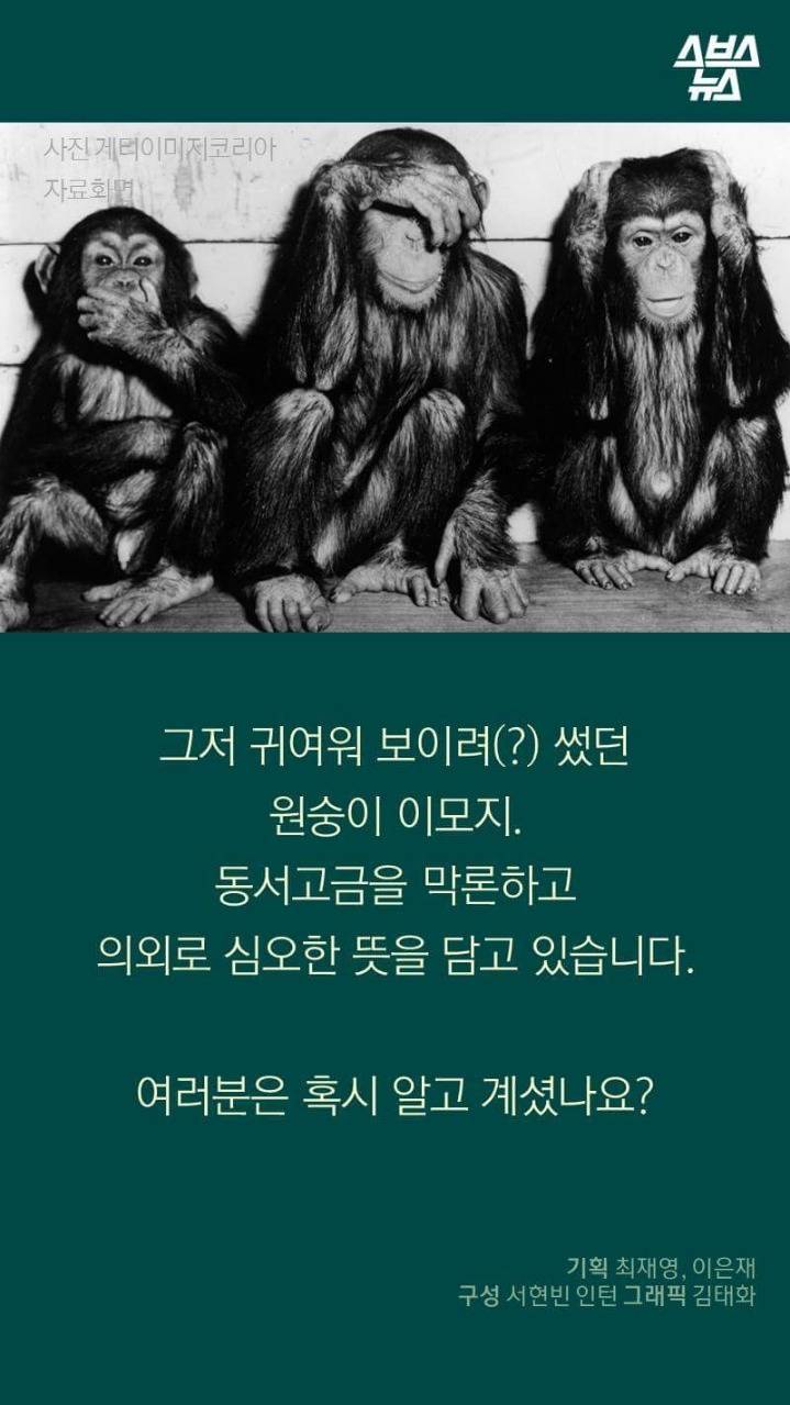 🙊🙉🙈 이원숭이 이모티콘에 심오한 뜻이.. | 인스티즈