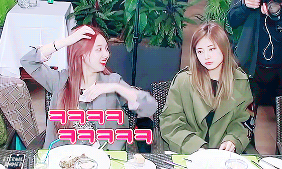 트와이스TV 귀여운 쯔위.gif | 인스티즈