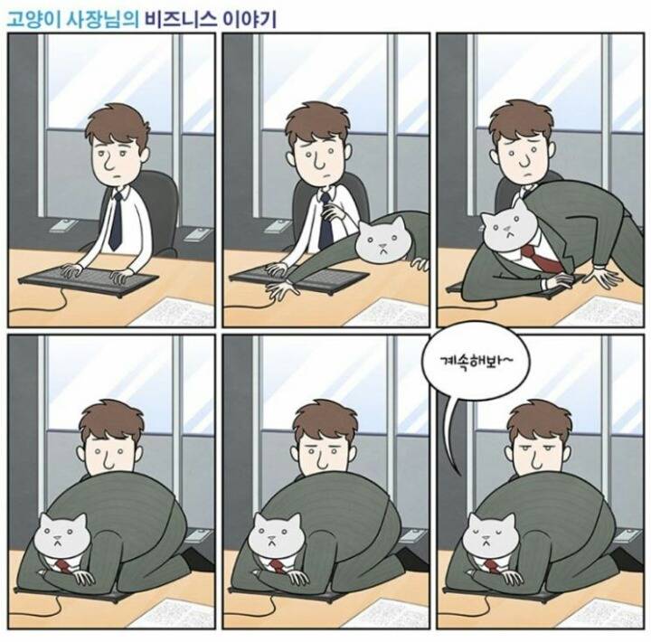 만약 고양이가 사장님이라면.jpg | 인스티즈