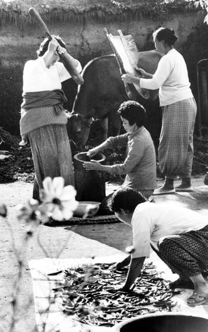 그때 그시절의 추석 풍경 | 인스티즈