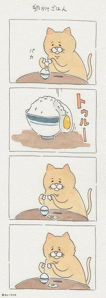 뭘 해도 안되는게 젤 귀여운 고양이 만화.twt | 인스티즈