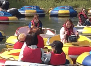 자매같은 세정이랑 미나.gif 데이터주의 | 인스티즈