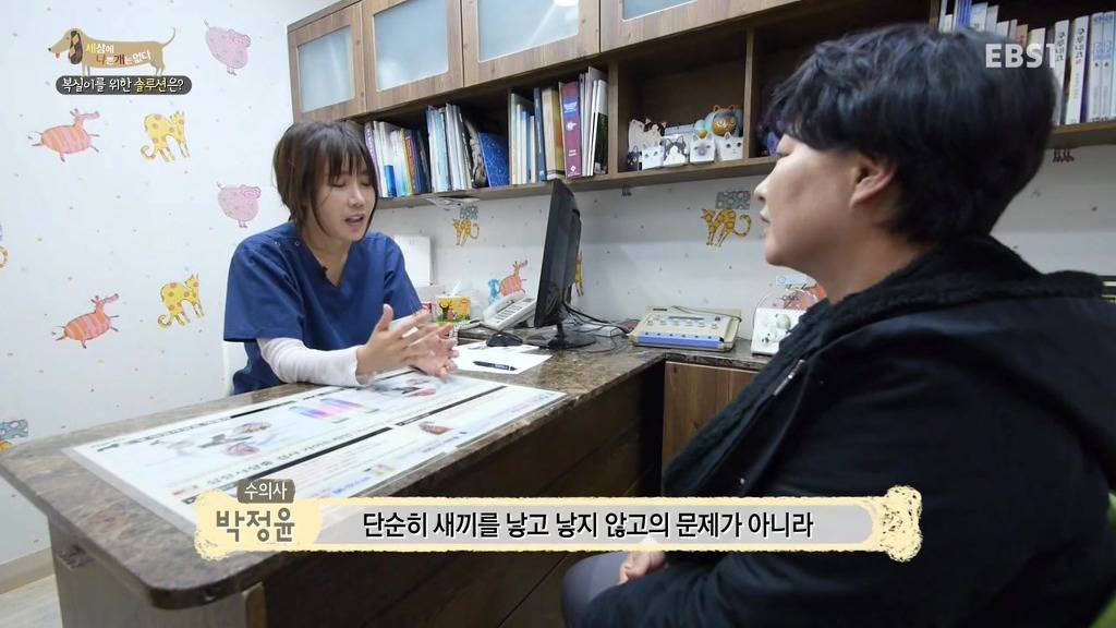 개 키울때 중성화 수술을 해줘야하는 이유 (feat.세나개) | 인스티즈