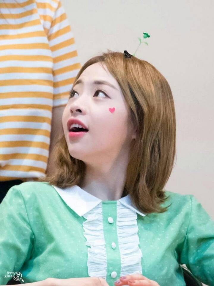 오마이걸 신혜진 | 인스티즈